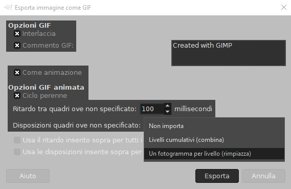 finestra di realizzazione gif