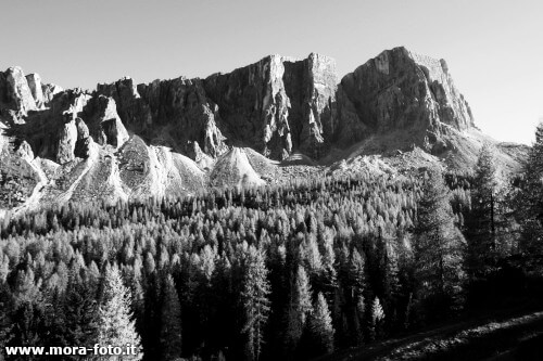 foto in bianco e nero con desaturazione