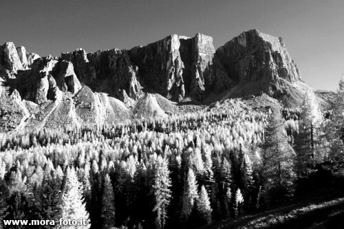 foto in bianco e nero con mixer mono