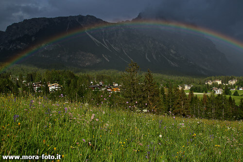 immagine a colori