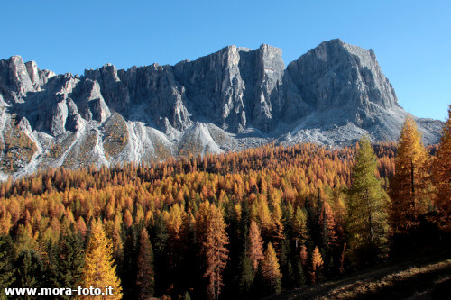 foto a colori