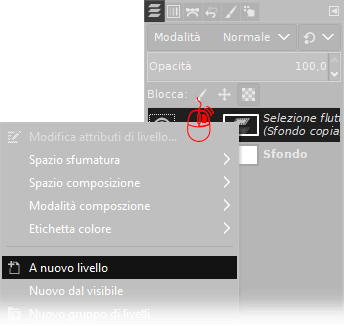 Selezione a nuovo livello con Gimp